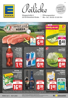 EDEKA Prospekt "Aktuelle Angebote" mit  Seiten (Vlotho)