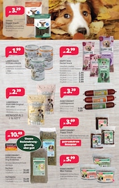 Wild im Kiebitzmarkt Prospekt in Bocholt Aktueller Kiebitzmarkt Prospekt mit Wild, "WELTTIERTAG", Seite 7