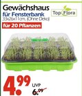 Aktuelles Gewächshaus für Fensterbank Angebot bei Wreesmann in Dresden ab 4,99 €