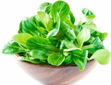 E center Ditzingen - Feldsalat Angebot im Prospekt Feldsalat bei E center im Ditzingen Prospekt für 1,49 €