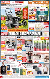 Benzinrasenmäher im Norma Prospekt in Gera Aktueller Norma Prospekt mit Benzinrasenmäher, "Mehr fürs Geld", Seite 14