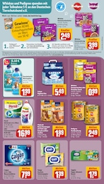 REWE Katzenfutter im Prospekt 