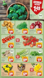 REWE Kartoffeln im Prospekt 