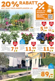 Ähnliche Rhododendron Angebote im Prospekt "Immer eine Idee besser" von Globus-Baumarkt in Wiesbaden Ähnliche Angebote wie Rhododendron im Prospekt "Immer eine Idee besser" auf Seite 4 von Globus-Baumarkt in Wiesbaden