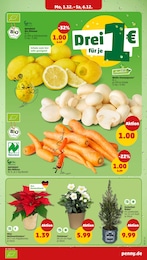 Bio Zitronen Angebot im aktuellen Penny Prospekt auf Seite 5