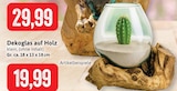 Dekoglas auf Holz Angebote bei Kaufhaus Stolz Neumünster für 19,99 €