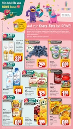 Heidelbeeren Angebot im aktuellen REWE Prospekt auf Seite 17