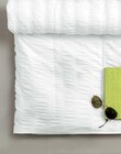 Aktuelle Bettdecke Angebote bei Ostermann in Moers Aktuelles Sommerbett SOFT WAVE Angebot bei Ostermann in Moers ab 49,90 €
