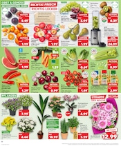 Küchenmaschine im Kaufland Prospekt in Bremen Aktueller Kaufland Prospekt mit Küchenmaschine, "Aktuelle Angebote", Seite 10