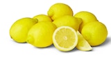Penny Drage - Zitronen Angebot im Prospekt Zitronen bei Penny im Drage Prospekt für 1,39 €