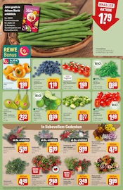 Pflanzen im REWE Prospekt in Meerbusch Aktueller REWE Prospekt mit Pflanzen, "Dein Markt", Seite 9