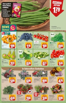 Staubsauger im aktuellen REWE Prospekt (Düsseldorf) Staubsauger im REWE Prospekt "Dein Markt" mit 36 Seiten (Düsseldorf)