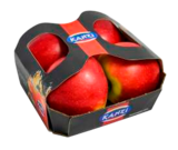 Tafeläpfel im Angebot bei EDEKA in Pinneberg Tafeläpfel Angebote von Kanzi bei EDEKA Pinneberg für 1,49 €