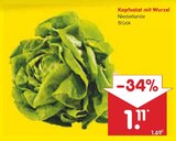 Aktuelles Kopfsalat mit Wurzel Angebot bei Netto Marken-Discount in Hannover ab 1,11 €