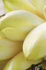 Promo Endive à 1,89 € dans le catalogue Intermarché Super à La Barre-de-Monts