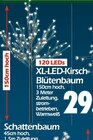 XL-LED-Kirsch-Blütenbaum im Wreesmann Prospekt XL-LED-Kirsch-Blütenbaum von im aktuellen Wreesmann Prospekt für 29,00 €