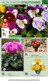 Promos Jardinage dans le catalogue "JARDIN" de Carrefour Jardinage en promo dans le catalogue Carrefour à la page 3