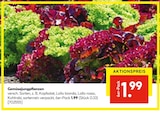 Gemüsegungpflanzen im Hellweg Prospekt Gemüsegungpflanzen im aktuellen Hellweg Prospekt für 1,99 €