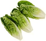 Romana Salatherzen von REWE Regional für 1,29 € bei REWE im Angebot Romana Salatherzen von REWE Regional im aktuellen REWE Prospekt