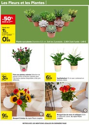 Offre Plantes dans le catalogue Carrefour du moment à la page 67
