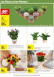 Plantes Angebote im Prospekt "BARBECUE & SALADE D'ÉTÉ" von Carrefour auf Seite 67