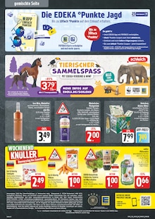 Kräuter im EDEKA Prospekt "Wir lieben Lebensmittel!" mit 8 Seiten (Nürnberg)