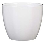 Hagebaumarkt Aalen - Pflanzgefäß Angebot im Prospekt Pflanzgefäß bei Hagebaumarkt im Aalen Prospekt für 6,99 €