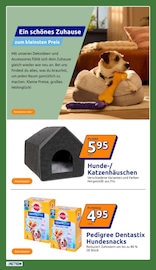 Aktueller Action Prospekt mit Tierfutter, "kleine Preise, grosse Freude!", Seite 21