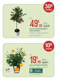 Prix et réduction Collection dans le prospectus Botanic en cours Offre Collection dans le catalogue Botanic du moment à la page 3