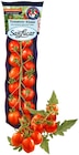 Cherry Roma Strauchtomaten »Küsse« Angebote von San Lucar bei REWE Unna für 1,79 €