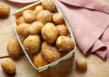 POMME DE TERRE PRIMEUR - Netto à Pantin POMME DE TERRE PRIMEUR en promo chez Netto Pantin à 3,19 €