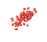 Tomates cerises en promo chez Aldi La Rochelle à 1,69 €