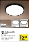 LED-Deckenleuchte „Medora“ von Casaya im aktuellen Hagebaumarkt Prospekt für 12,99 €
