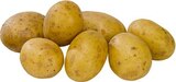 Speisekartoffeln im Angebot bei EDEKA in Borken Speisekartoffeln Angebote von Kartoffelhof Buhne-Lackhove bei EDEKA Borken für 1,88 €