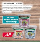 Kiebitzmarkt Rhede - Trainies Angebot im Prospekt Trainies bei Kiebitzmarkt im Rhede Prospekt für 4,99 €