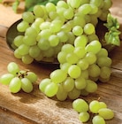 Intermarché Super Bourg-la-Reine - Promo Raisin Blanc Promo Raisin Blanc à 1,89 € dans le catalogue Intermarché Super à Bourg-la-Reine