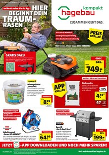 hagebau kompakt Prospekt HIER BEGINNT DEIN TRAUMRASEN mit  Seiten in Reckenroth und Umgebung