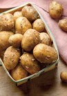 Pomme de Terre Primeur - Intermarché à Nancy Pomme de Terre Primeur en promo chez Intermarché Nancy à 3,19 €