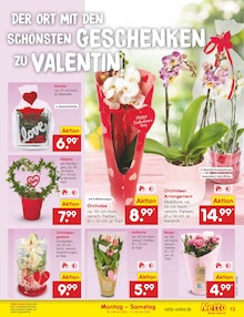 Pflanzen im Netto Marken-Discount Prospekt "Aktuelle Angebote" mit 62 Seiten (Aachen)