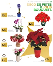 Orchidée Angebote im Prospekt "Carrefour" von Carrefour auf Seite 87