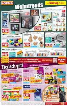 Schale Angebot im aktuellen Norma Prospekt auf Seite 6