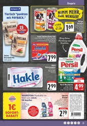 Tierfutter im EDEKA Prospekt in Borken Aktueller EDEKA Prospekt mit Tierfutter, "Aktuelle Angebote", Seite 21