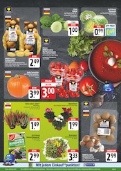 Aktueller EDEKA Prospekt mit Kartoffeln, "Wir lieben Lebensmittel!", Seite 11