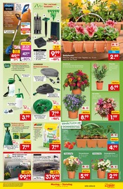 Akku Rasenmäher im Netto Marken-Discount Prospekt in Kleve Aktueller Netto Marken-Discount Prospekt mit Akku Rasenmäher, "Aktuelle Angebote", Seite 15