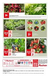 Tomate Angebote im Prospekt "Du bonheur à récolter tout au long de l'année !" von Auchan Hypermarché auf Seite 4