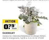 Silberblatt im OBI Prospekt Silberblatt von im aktuellen OBI Prospekt fĂŒr 0,79 âŹ