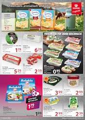 Aktueller Selgros Prospekt mit Paprika, "cash & carry", Seite 13