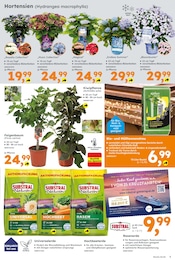Bio im Globus-Baumarkt Prospekt in Bad Oeynhausen Aktueller Globus-Baumarkt Prospekt mit Bio, "Immer eine Idee besser", Seite 3
