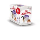 Bouchées en sauce Royal Canin® à Gamm vert dans Moriani Plage Bouchées en sauce Royal Canin® à Gamm vert dans Moriani Plage