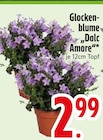 Aktuelles Glockenblume Dolc Amore Angebot bei EDEKA in München ab 2,99 €